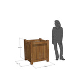 Fransk Versailles-plantekasse akacietræ 75x75x85