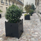 Fransk Versailles plantekasse i fyrretræ 80x80x88