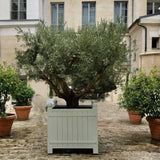 Fransk Versailles-plantekasse akacietræ 75x75x85