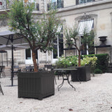 Fransk Versailles-plantekasse akacietræ 65x65x75