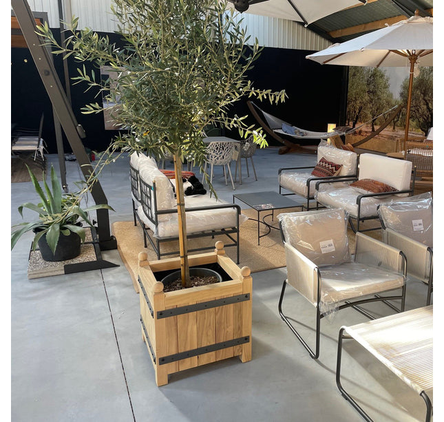 Plantekasse massivt robinietræ 52x52x57