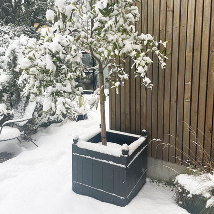 Sådan beskytter du dine franske plantekasser