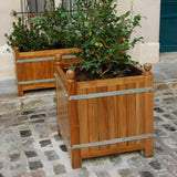 Fransk Versailles-plantekasse akacietræ 75x75x85